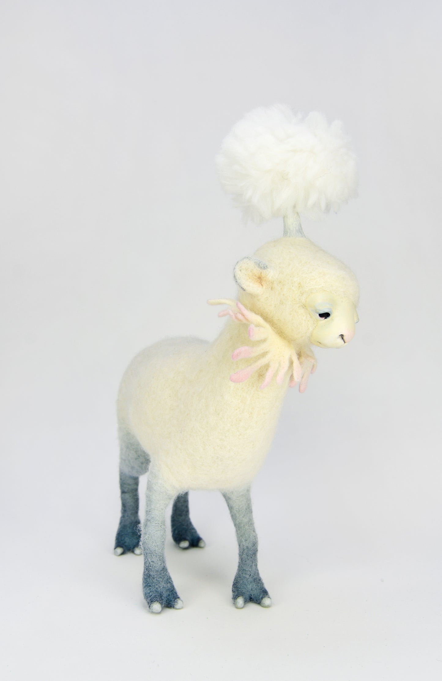 Lambkin 1
