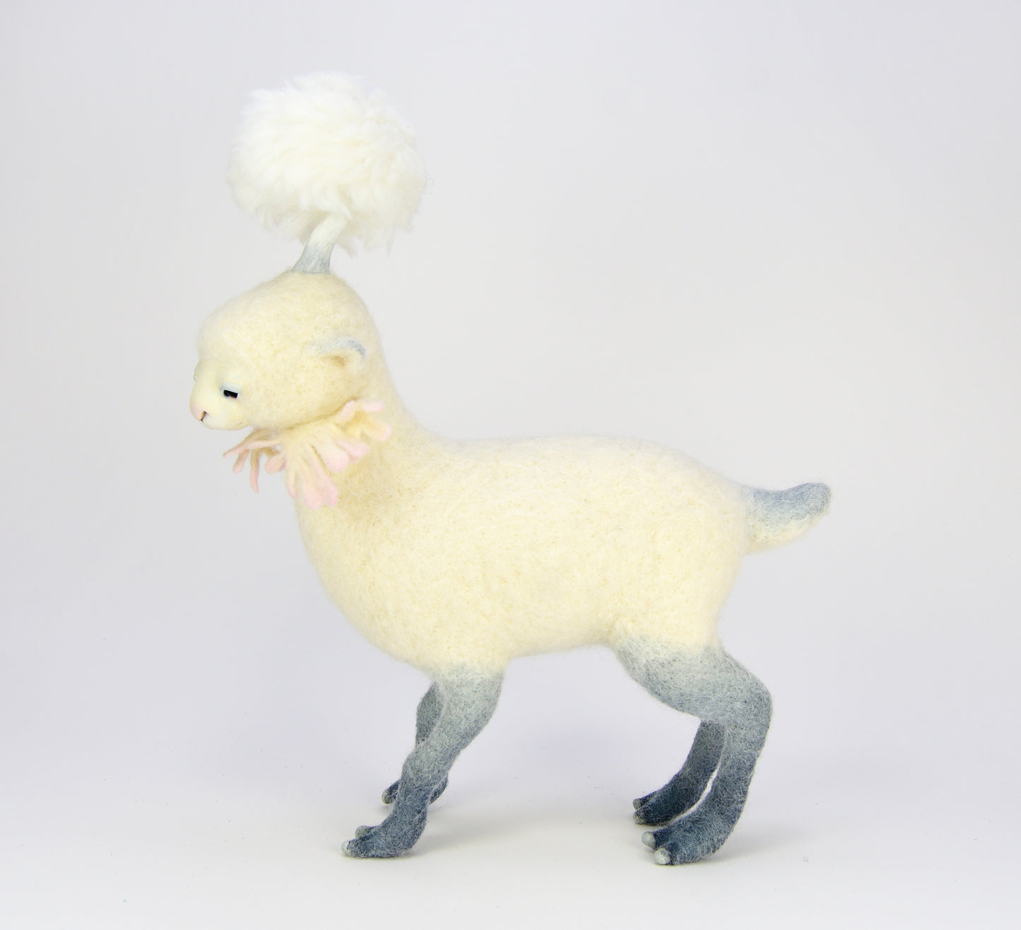 Lambkin 1