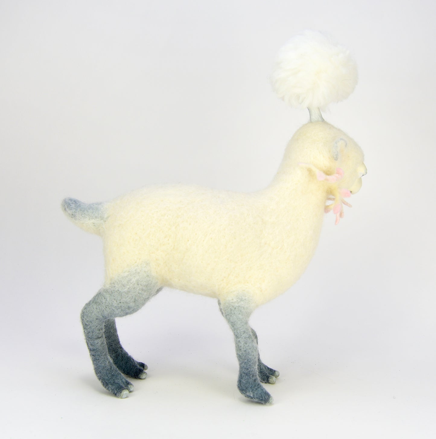Lambkin 1