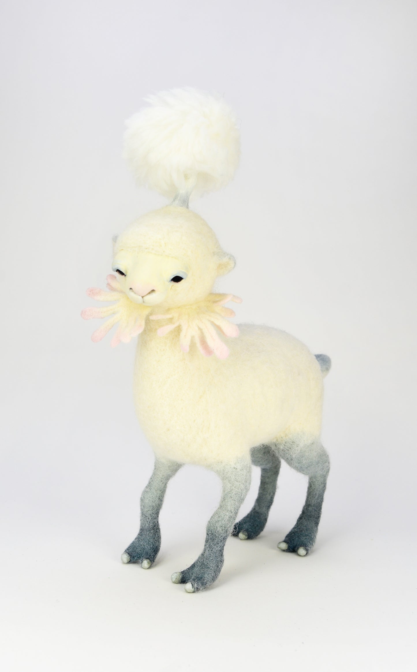Lambkin 1