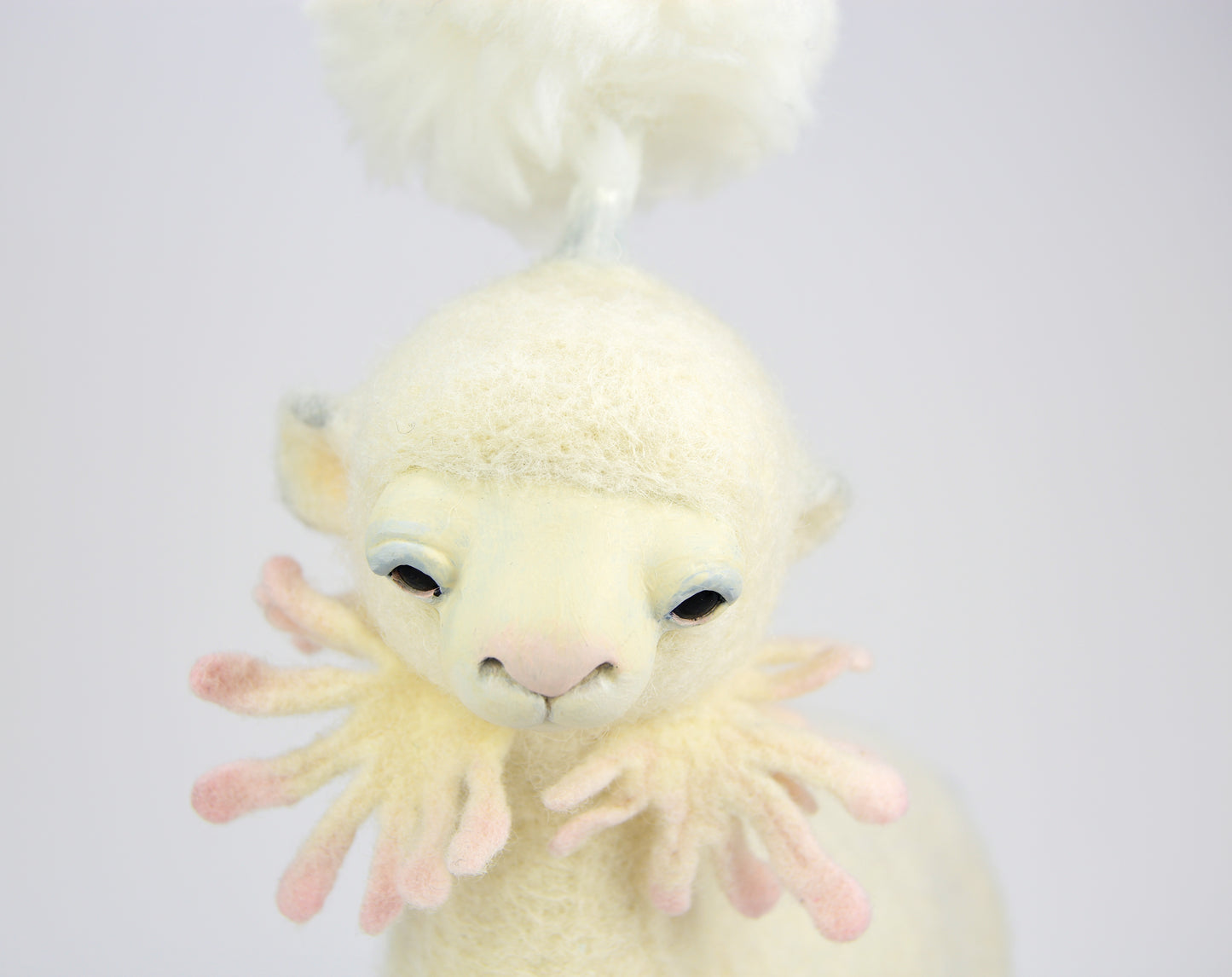 Lambkin 1
